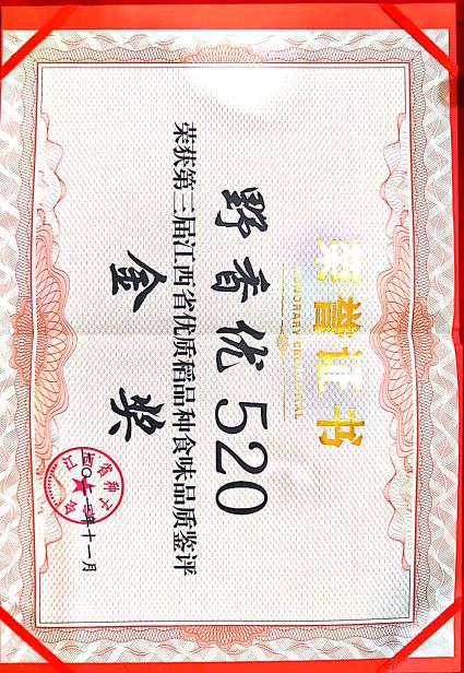 野香優(yōu)520-第三屆江西省優(yōu)質(zhì)稻品種食味品質(zhì)鑒評金獎