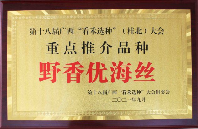 野香優(yōu)海絲-第十八屆廣西“看禾選種”（桂北）大會-重點推介品種